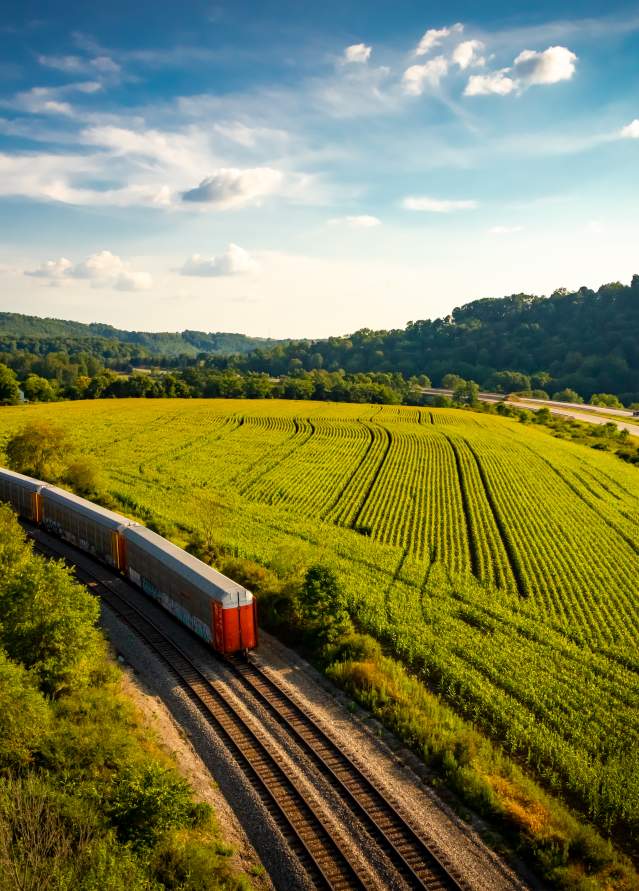 Salisbury Viaduct View
