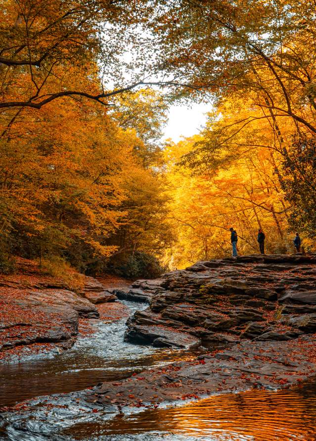 Fall in the Laurel Highlands