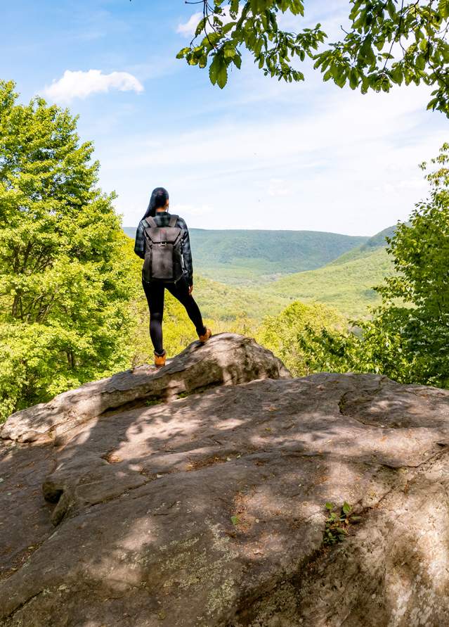Baughman Rock at Ohiopyle