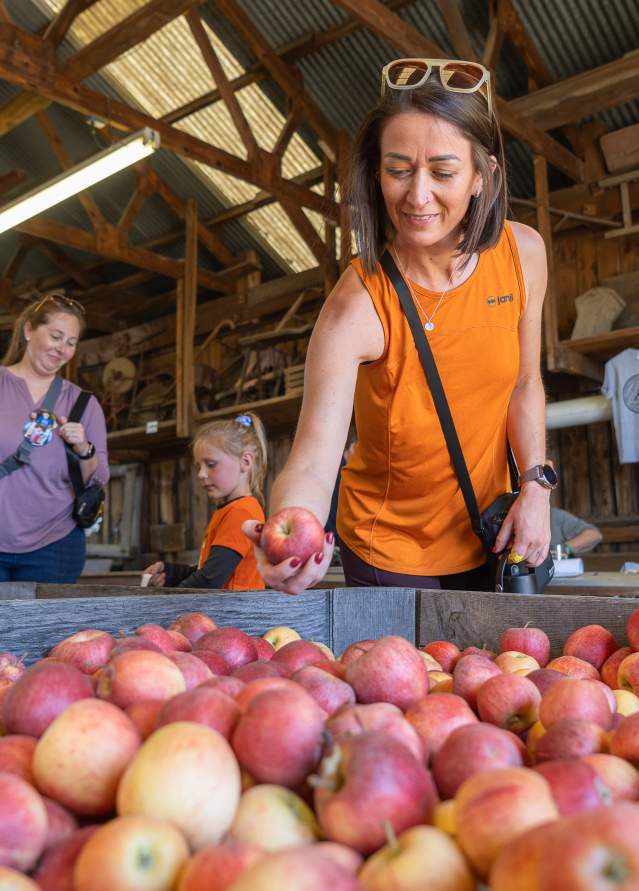 Delmont apples and art festival
