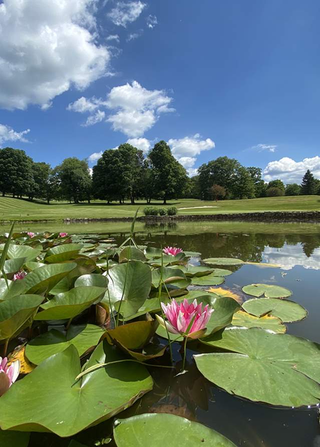 Golf course hole with lily pads