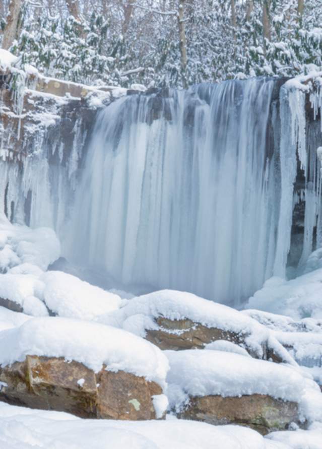Winter Wonderland