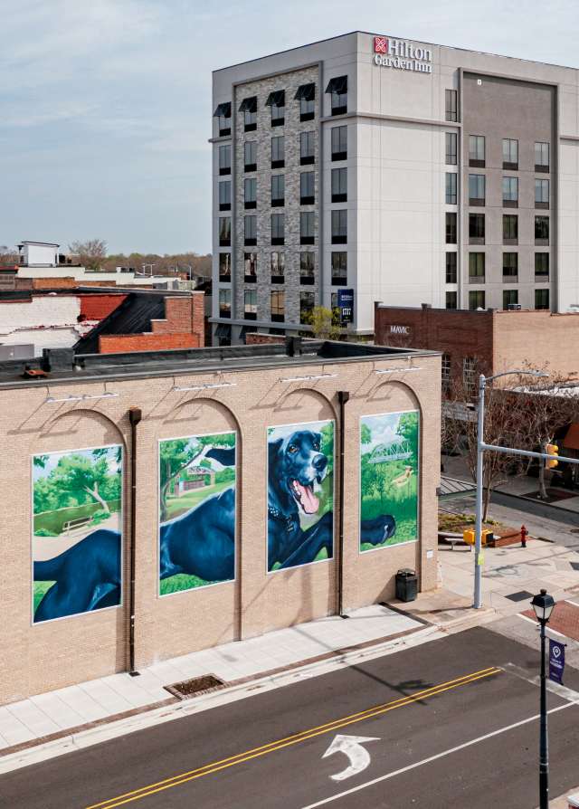 Downtown Greenville