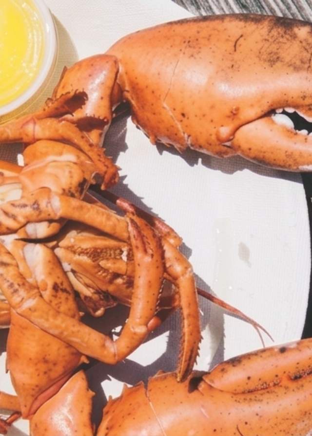 Best Restaurants in Edgartown