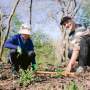 5 Ways to Go Green in Dublin, Ohio