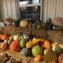 4 Farm Markets Near Dublin, Ohio