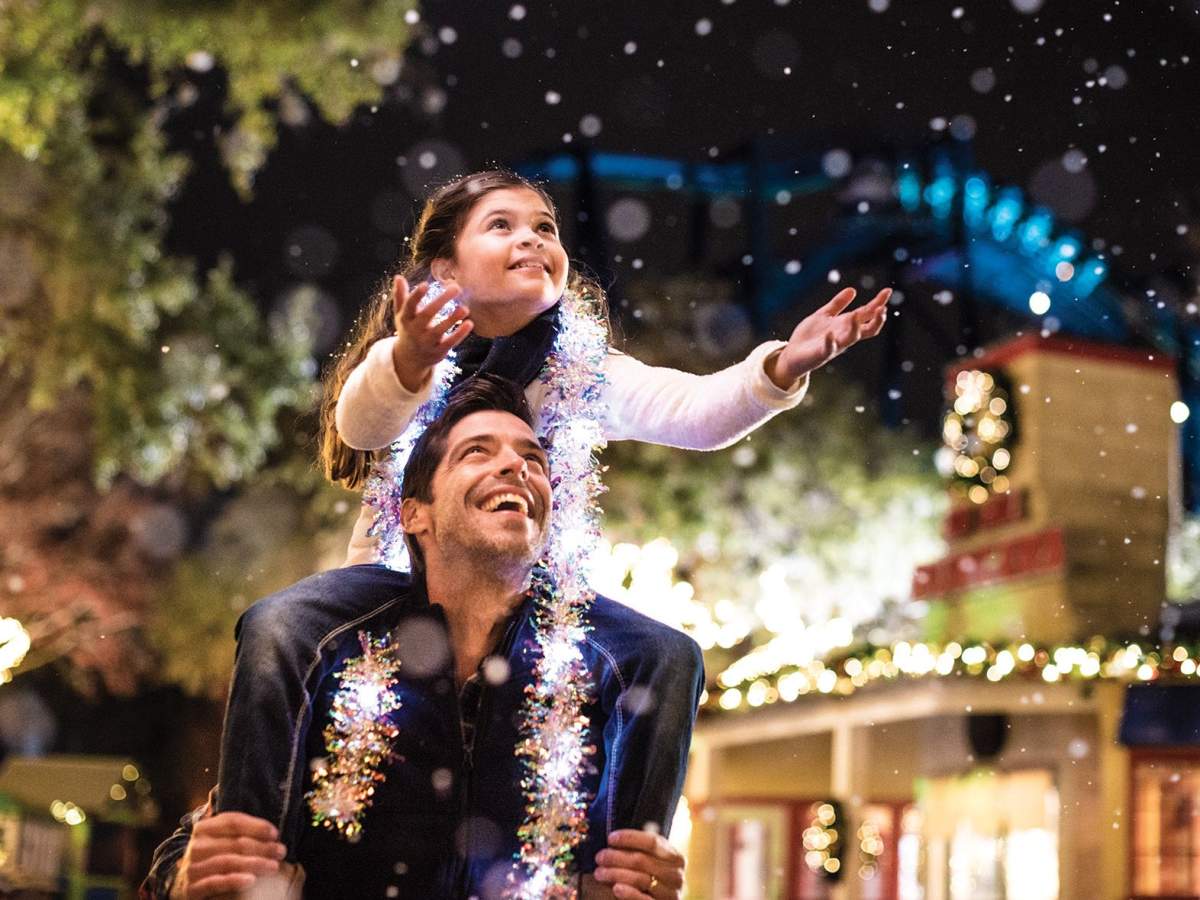 SeaWorld's Christmas Celebration at SeaWorld Orlando
