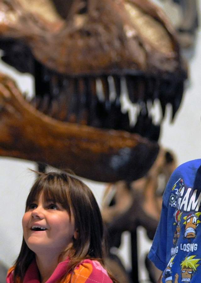 Two children at the Denver Museum of Nature & Science are in awe while looking at large dinosaur fossils.