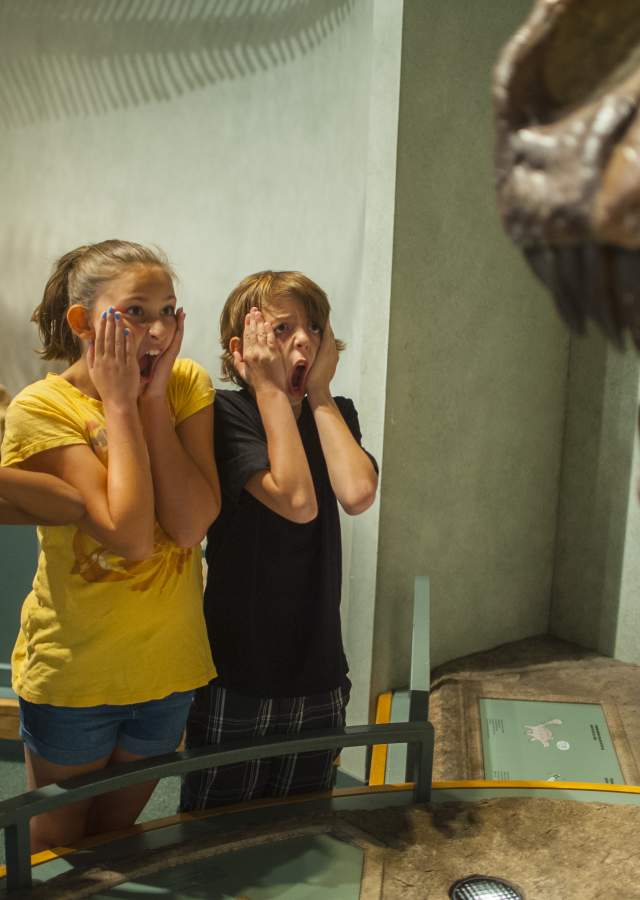 Kids showing fear of dinosaur at the Denver Museum of Nature & Science.