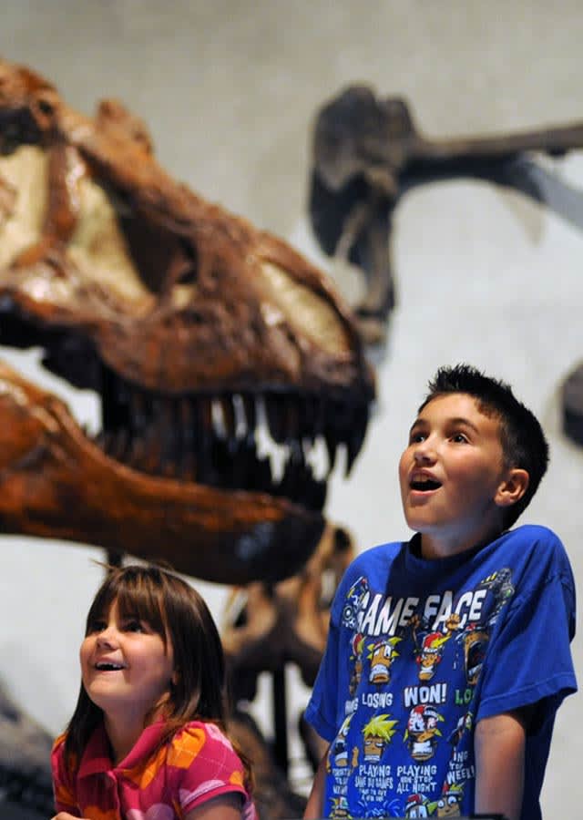 Kids at Denver Museum of Nature & Science