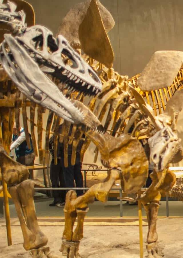 Denver Museum of Nature and Science