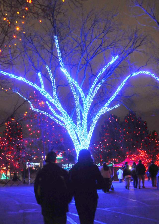 Denver Holiday Lights Featured Events, Lights Chandeliers In Denver Tonight