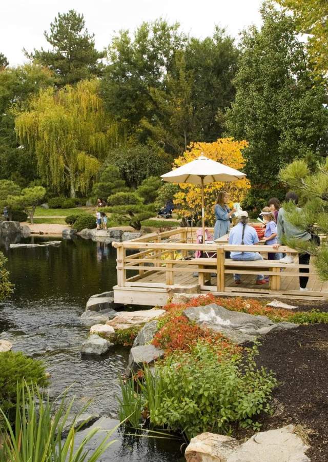 Golden trees behind a small pond in the Denver Botanic Gardens