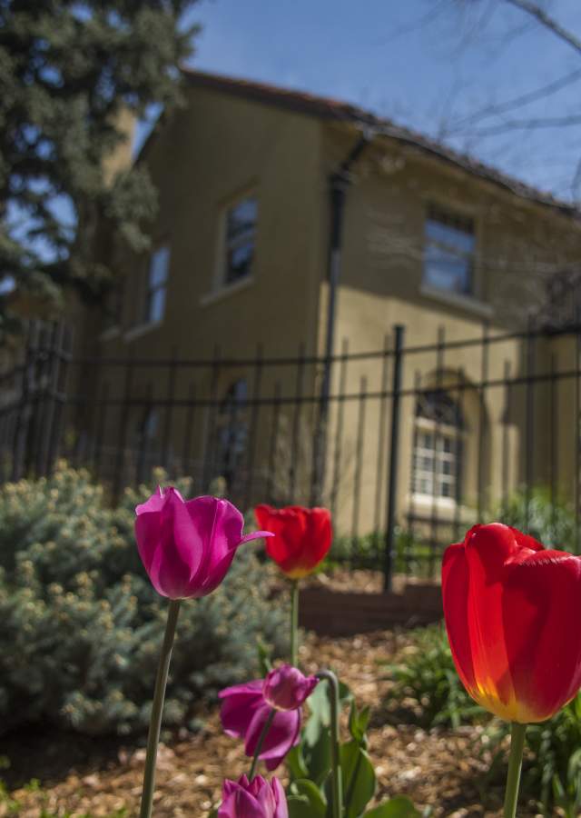 park-hill-neighborhood-garden-house