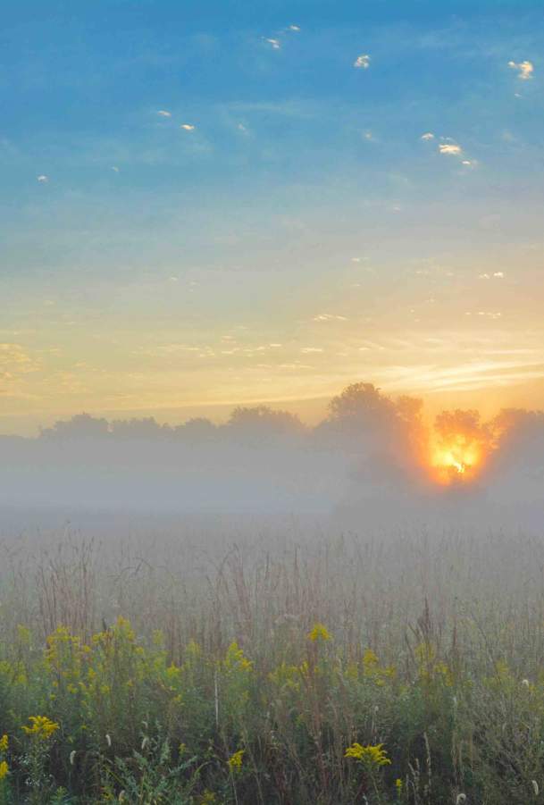 Spring Activities in Lafayette-West Lafayette