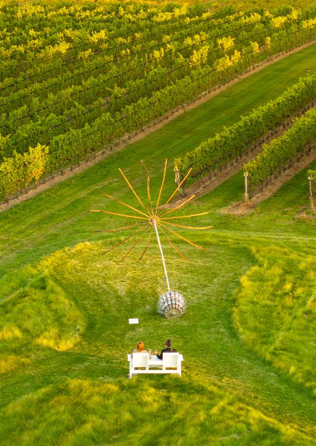 aerial of a couple sitting in a vineyard