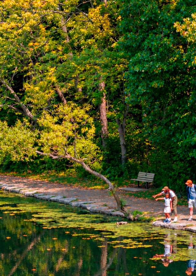 nature & trails