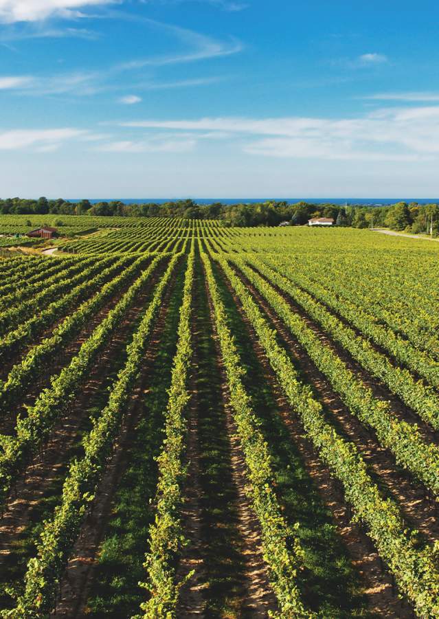 Niagara Benchlands