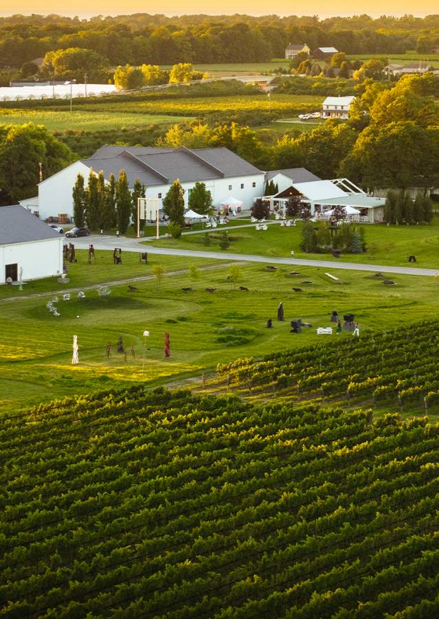 Aerial of winery & vineyard