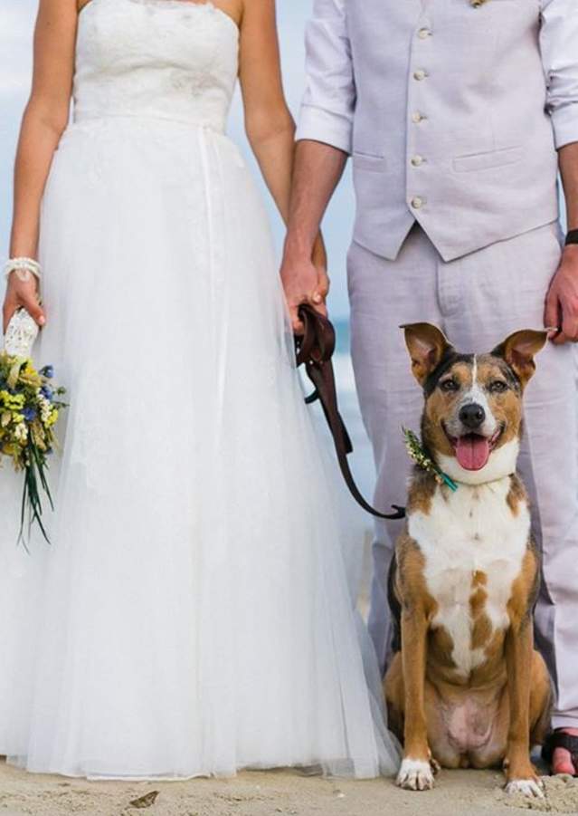 Newlyweds With Their Dog On A Beach On The Outer Banks Of NC