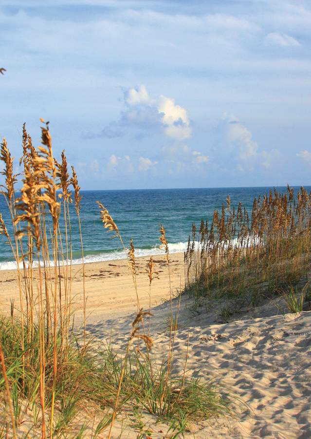 coquina beach - beauty shot