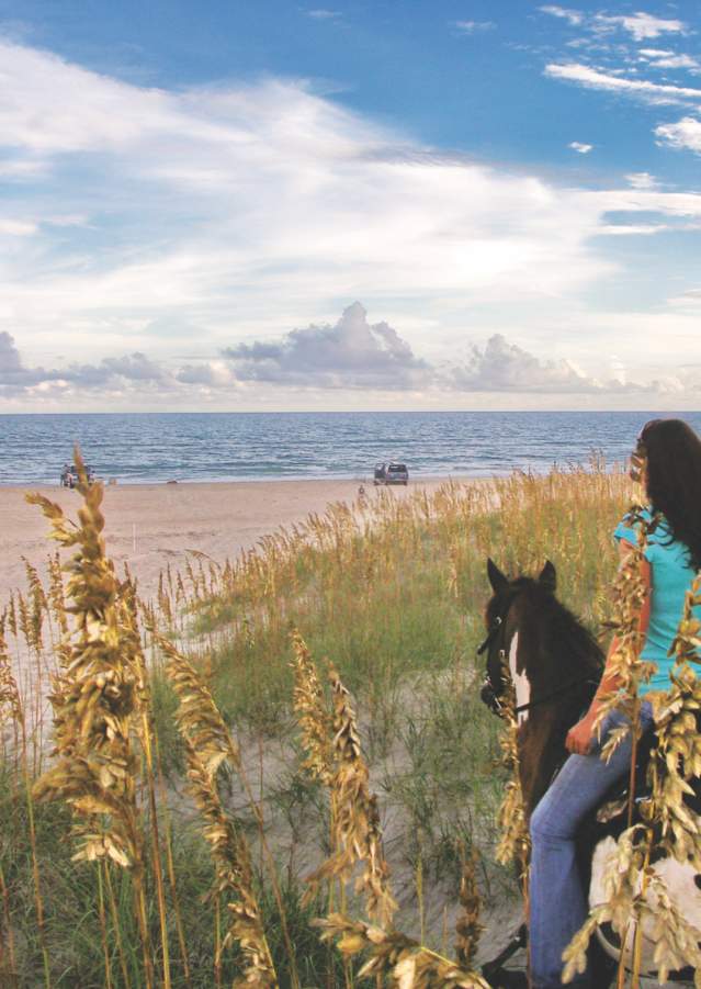 horseback riding beach sea oat
