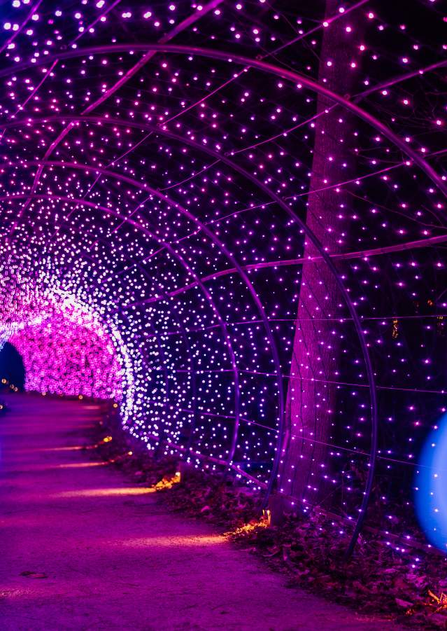 LW Christmas Light Tunnel