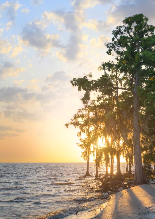 Fontainebleau State Park Sunset