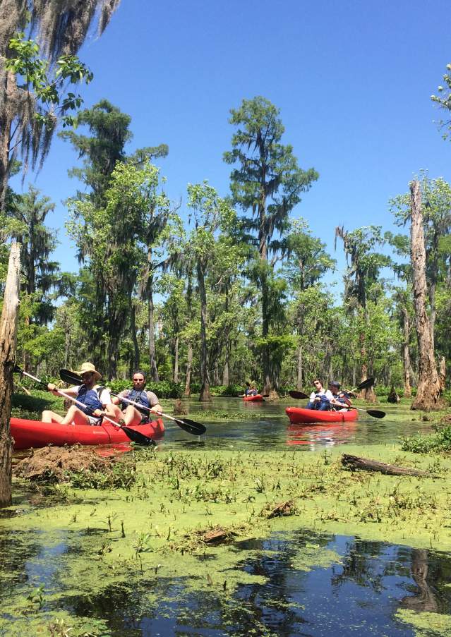 Kayaking Honey Island Swamp