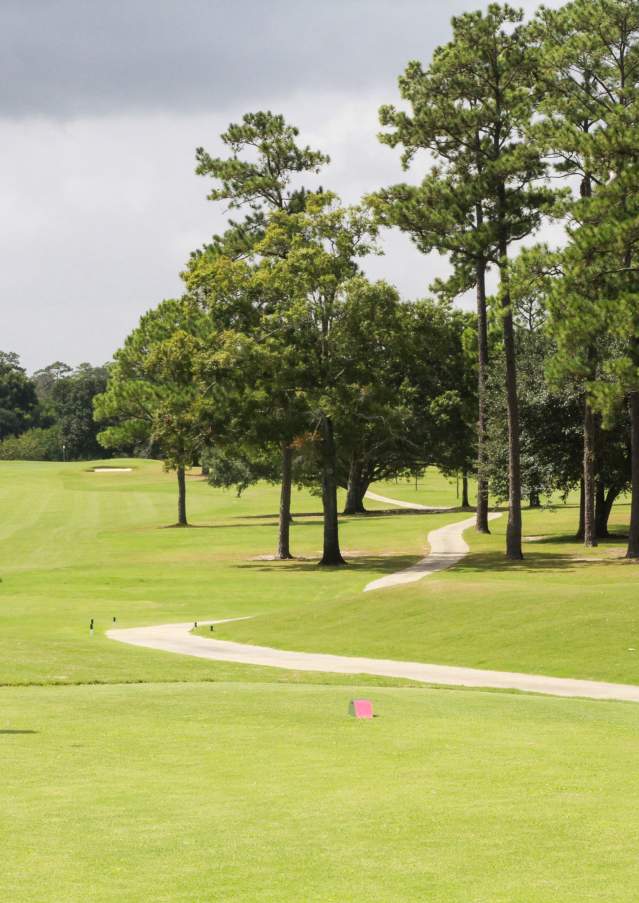 Tchefuncte country club fairway female golfer
