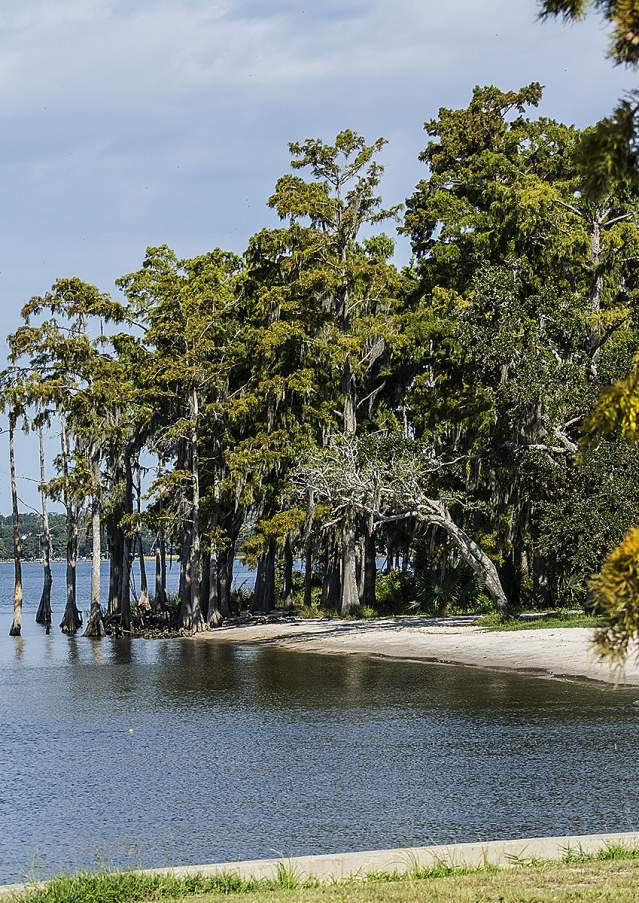 Fontainebleau State Park