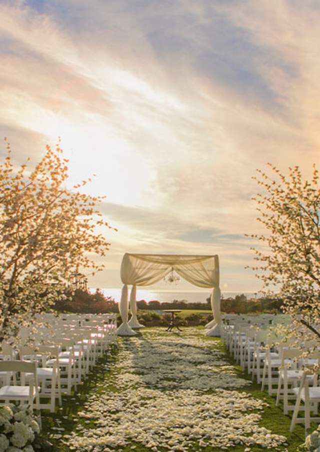 Wedding Venue