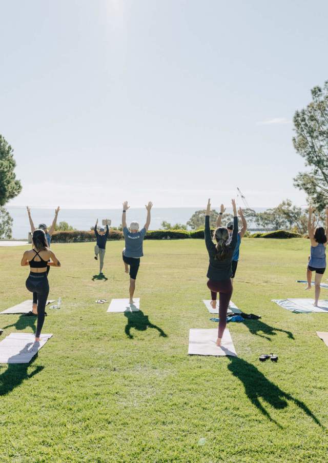 Wellness Yoga Outdoor Sports