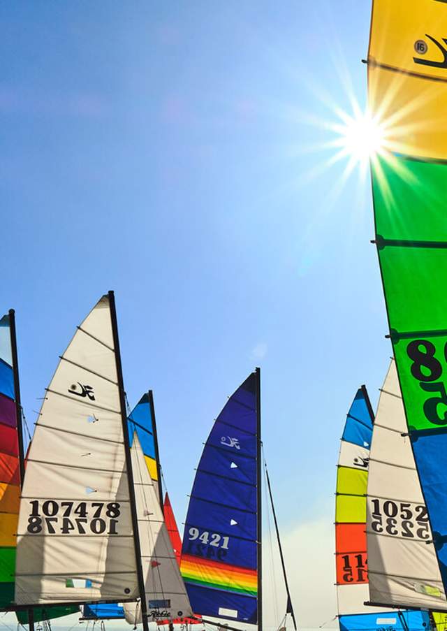 colorful sailboats