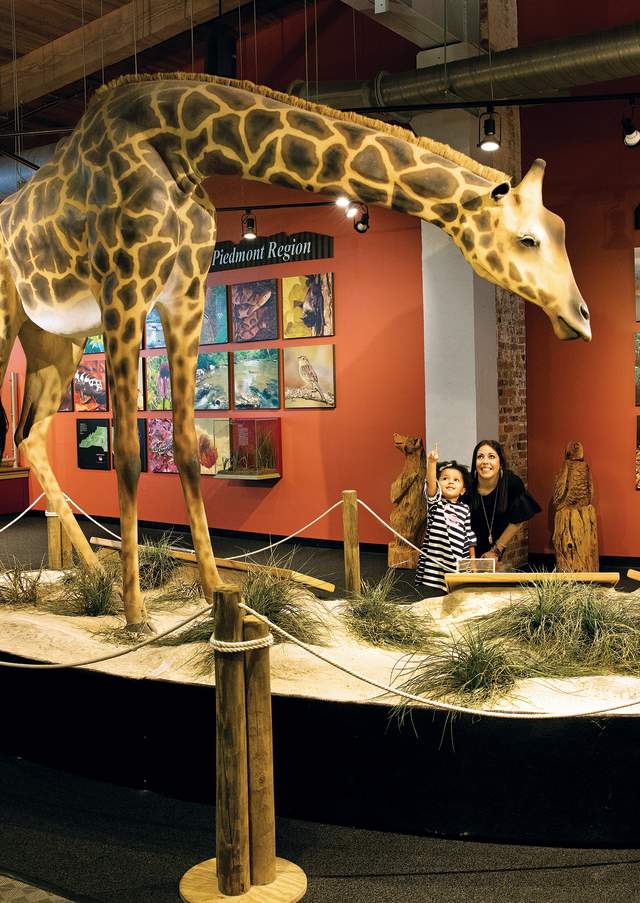 Imperial Centre giraffe display