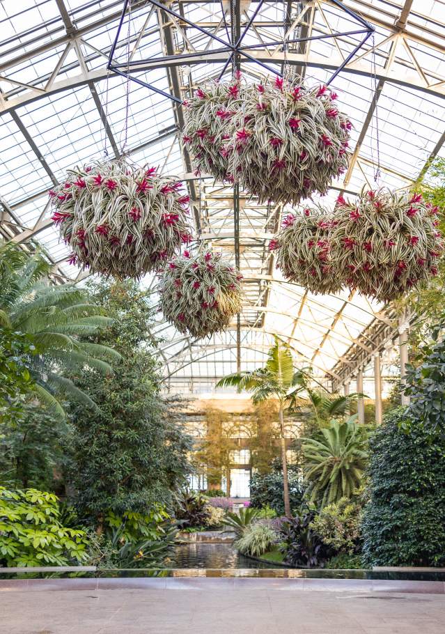 Longwood Gardens