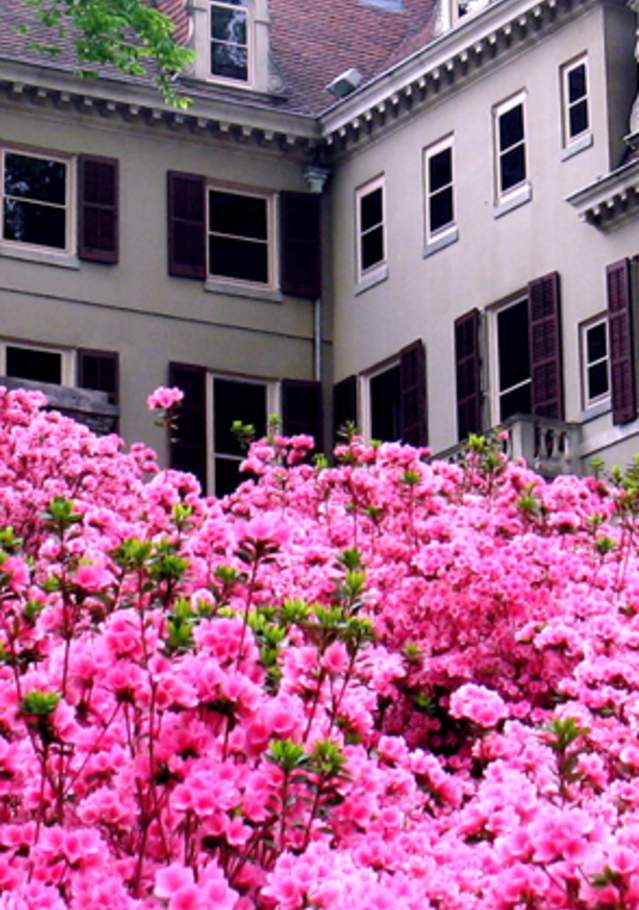 Winterthur