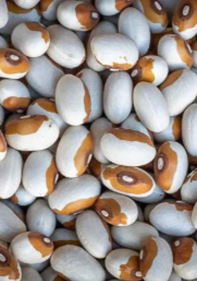 Heirloom Beans at Alta Baja Market