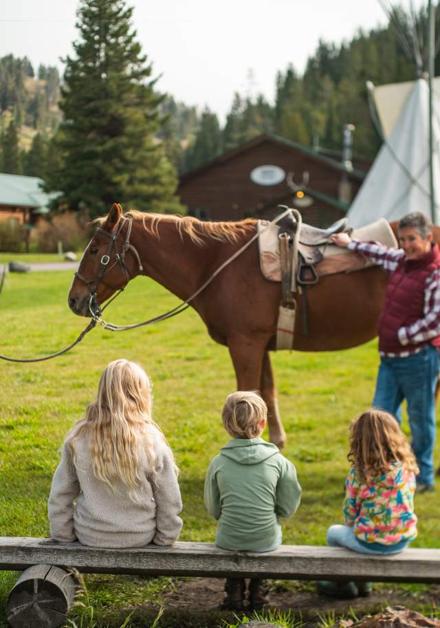 Horses in Big Sky