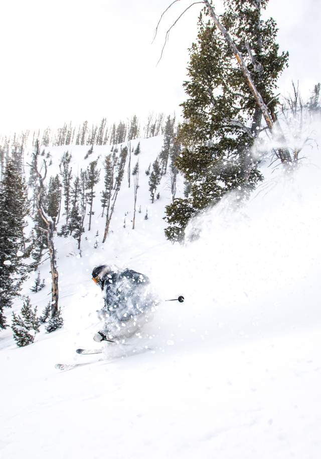 Skiing Powder