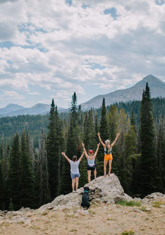 Three people stand on a rocky outcrop, arms raised, overlooking a vast forested landscape with mountains in the background under a cloudy sky. A dog sits nearby.