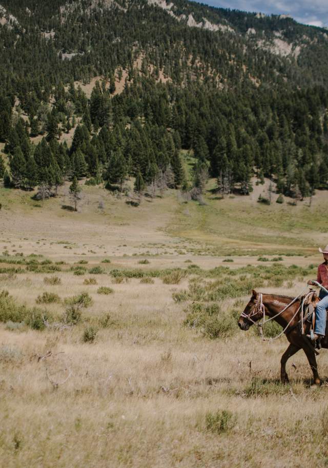 Horseback riding in Big Sky Montana
