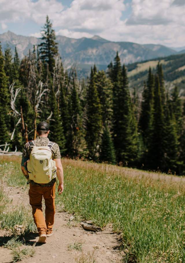 A hiker walks along a dirt path through a lush green landscape, surrounded by tall pine trees and distant mountains under a blue sky.