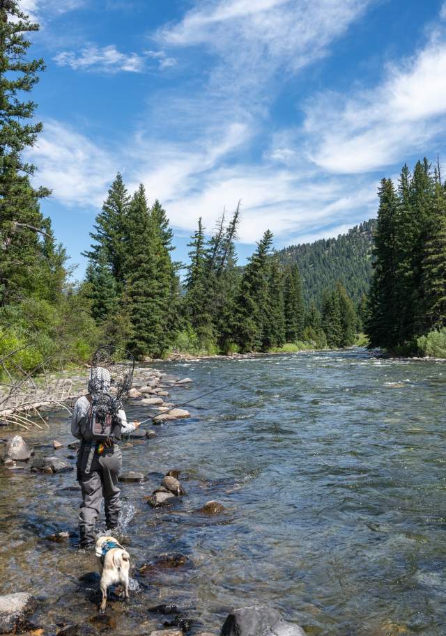 Fishing on the Gallatin River