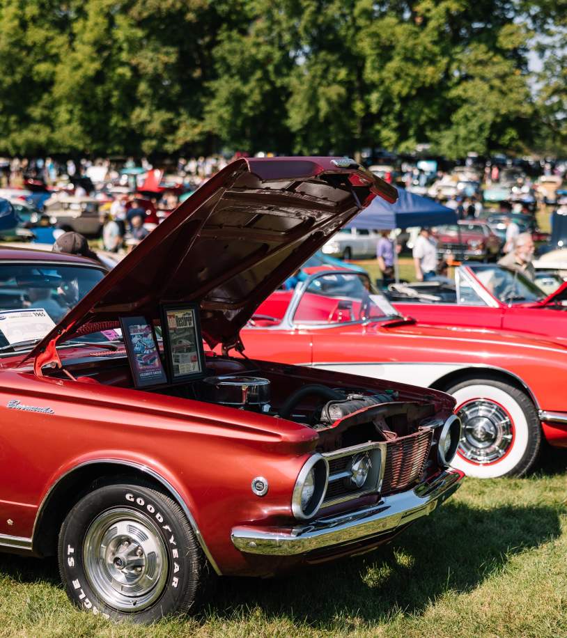 Hagley Car Show