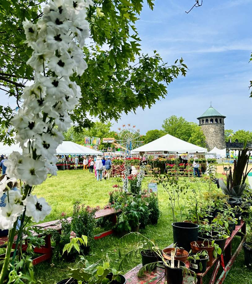 Wilmington Flower Market