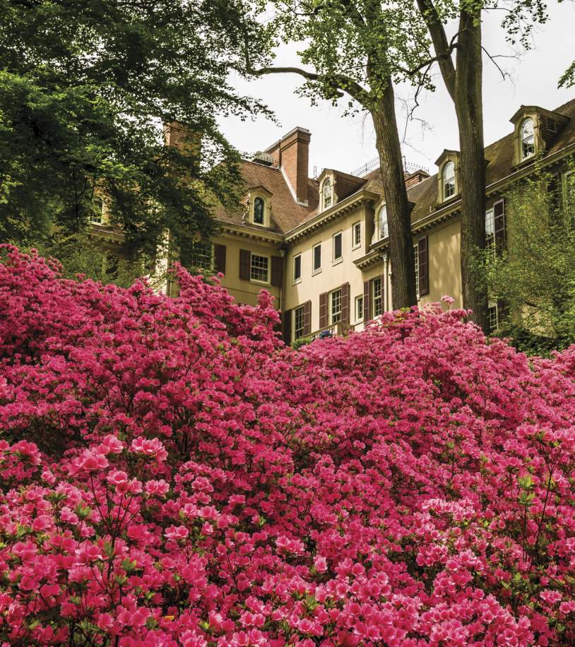Winterthur Museum, Garden & Library