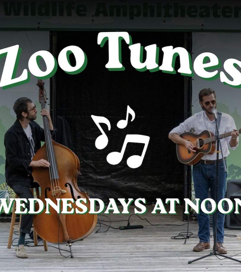 ZOO NOON TUNES @ Brandywine Zoo