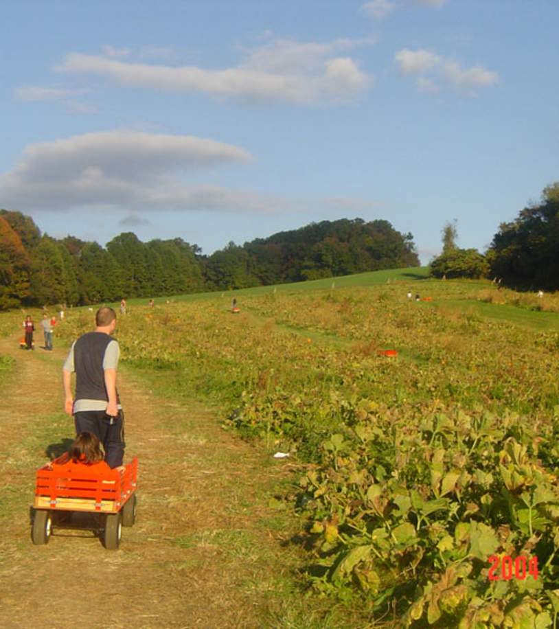 Ramsey's Farm