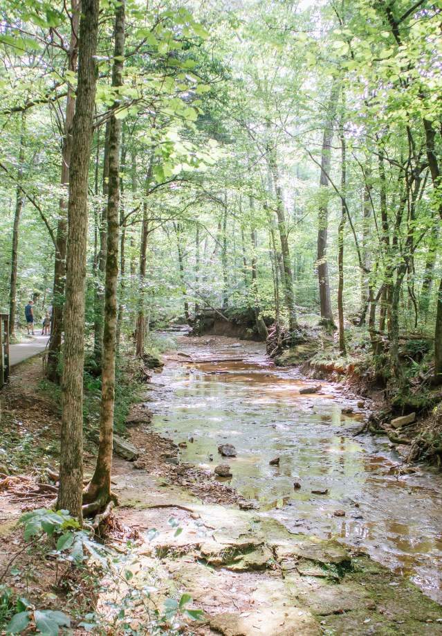 Walking trail in Rotary Park